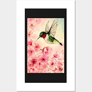 humming bird Posters and Art